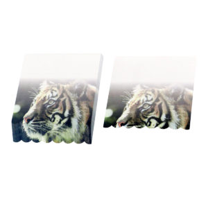 4A self-sticky notes, 3D printed with South China Tiger, 95mm×85mm,100 sheets/pad, 1 pad/pack. 4A 8065
