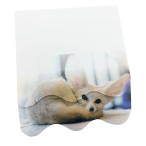 4A self-sticky notes, 3D printed with Pinna fox fox (big ears and small desert fox), 95mm×105mm, 100 sheets/pad, 1 pad/pack.  4A