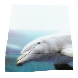 4A self-sticky notes, 3D printed with Risso's Dolphin, 95mm×105mm, 100 sheets/pad, 1 pad/pack. 4A 8080