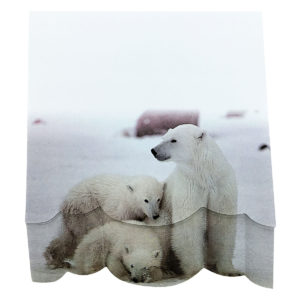4A self-sticky notes, 3D printed with Polar Bear, 95mm×105mm, 100 sheets/pad, 1 pad/pack. 4A 8083
